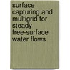 Surface Capturing and Multigrid for Steady Free-Surface Water Flows door J. Wackers