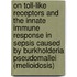 On Toll-like receptors and the innate immune response in sepsis caused by Burkholderia pseudomallei (melioidosis)