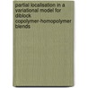 Partial localisation in a variational model for diblock copolymer-homopolymer blends door Y. van Gennip