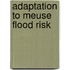 Adaptation to meuse flood risk