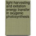 Light-harvesting and exitation energy transfer in oxygenic photosynthesis