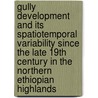 Gully development and its spatiotemporal variability since the late 19th century in the Northern Ethiopian highlands by Amaury Frankl