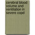 Cerebral Blood Volume And Ventilation In Severe Copd