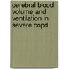 Cerebral Blood Volume And Ventilation In Severe Copd by M.J.T. van de Ven