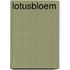 Lotusbloem