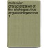 Molecular characterization of the alloherpesvirus anguillid herpesvirus 1