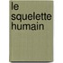 Le Squelette humain