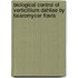 Biological control of verticillium dahliae by talaromycer flavis