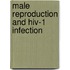 Male Reproduction And Hiv-1 Infection