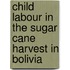 Child Labour in the Sugar Cane Harvest in Bolivia
