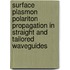 Surface plasmon polariton propagation in straight and tailored waveguides
