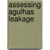 Assessing Agulhas leakage