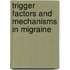 Trigger factors and mechanisms in migraine