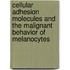 Cellular adhesion molecules and the malignant behavior of melanocytes