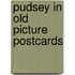 Pudsey in old picture postcards