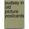 Pudsey in old picture postcards by R. Strong