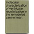 Molecular characterization of ventricular repolarization in the remodeled canine heart