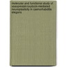 Molecular and functional study of vasopressin/oxytocin-mediated neuroplasticity in Caenorhabditis elegans door Isabel Beets