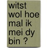 Witst wol hoe mal ik mei dy bin ? by Sam MacBratney