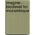 Imagine... Biodiesel for Mozambique