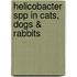 Helicobacter spp in cats, dogs & rabbits