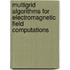 Multigrid algorithms for electromagnetic field computations