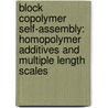 Block Copolymer Self-Assembly: Homopolymer Additives and Multiple Length Scales door T. Klymko
