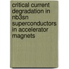 Critical current degradation in Nb3Sn superconductors in accelerator magnets door J.M. van Oort