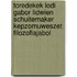 Toredekek Lodi Gabor lidwien Schuitemaker kepzomuweszet filozofiajabol