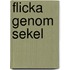 Flicka genom sekel