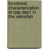 Functional Characterization Of Rptp Dep1 In The Zebrafish