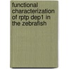 Functional Characterization Of Rptp Dep1 In The Zebrafish door Fiona Rodriguez