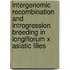 Intergenomic recombination and introgression breeding in Longiflorum x Asiatic lilies