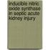 Inducible nitric oxide synthase in septic acute kidney injury