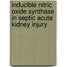Inducible nitric oxide synthase in septic acute kidney injury door S. Heemskerk