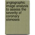 Angiographic image analysis to assess the severity of coronary stenoses