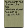 Conductante and diffusion of a SiGe two-dimensional hole gas in magnetic field door C. Possanzini