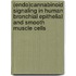 (Endo)cannabinoid signaling in human bronchial epithelial and smooth muscle cells