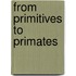 From primitives to primates
