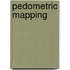 Pedometric mapping