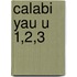 Calabi Yau U 1,2,3