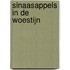 Sinaasappels in de Woestijn