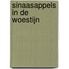 Sinaasappels in de Woestijn by Tu Delft