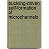 Buckling-driven self-formation of microchannels door V.V.S.D.R. Annabattula