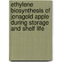 Ethylene biosynthesis of Jonagold apple during storage and shelf life