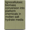 Lignocellulosic biomass conversion into platform chemicals in molten salt hydrate media door Jianrong Li