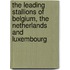 The leading stallions of Belgium, the Netherlands and Luxembourg