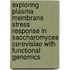 Exploring plasma membrane stress response in Saccharomyces cerevisiae with functional genomics