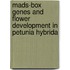 Mads-box Genes And Flower Development In Petunia Hybrida