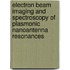 Electron beam imaging and spectroscopy of plasmonic nanoantenna resonances
